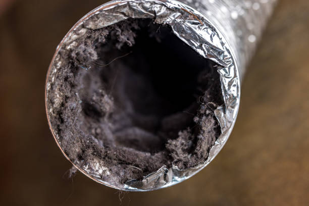 Best Air Duct Cleaning Near Me  in Eldora, IA